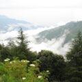 chail-himachal