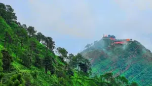 kasauli-himachal