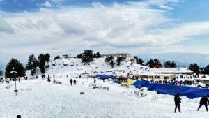 kufri-shimla