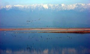 Pong Lake Sanctuary Lake