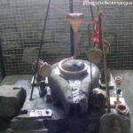 Nag Panchami Puja