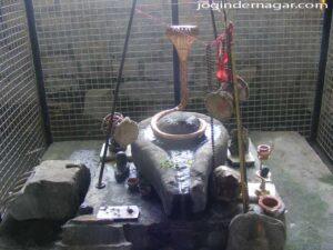 Nag Panchami Puja