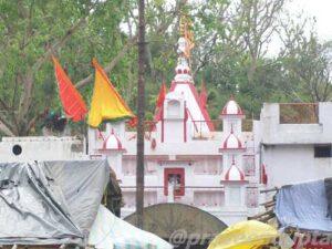 Shakumbhari Devi