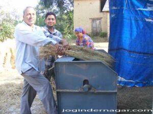 Paddy Crop