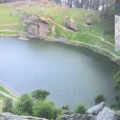 bird-protects-lake
