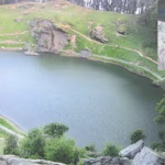 bird-protects-lake