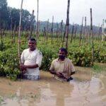 Heavy Rain Mandi