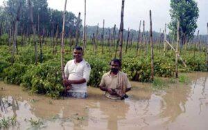 Heavy Rain Mandi