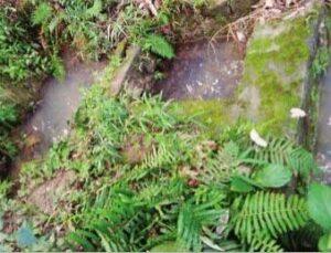 Polluted Water Kufru
