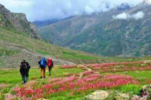 Mayad Valley Lahaul
