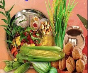 सायर : सौभाग्य के प्रतीक के रूप में मनाया जाने वाला पर्व sair-festival-himachal
