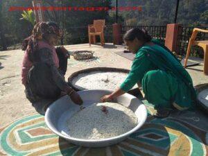 आओ सीखें कैसे तैयार होती हैं बड़ियाँ Badiyan Preparation