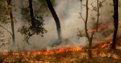 Uttarakhand Fire