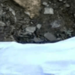 जंगल में मिला मंडी जिला में लापता छात्रा का शव dead body