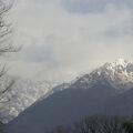 Palampur: A view of the snow-clad Dhauladhar mountain range afte