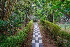 path-to-yoga-studio
