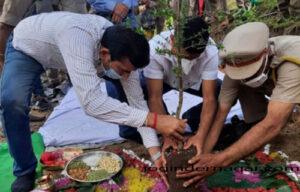 plantation-by-mla