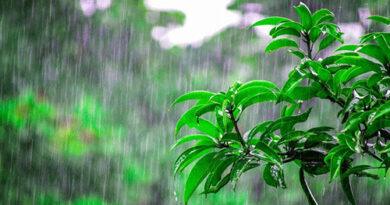 Rain In Himachel