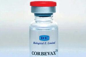 Corbevex