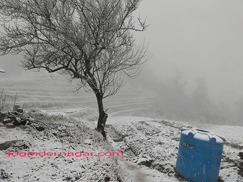 snowfall-at-kufardhar