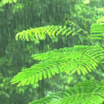 rain-3