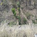 alto-accident-ladbharol-two-dead