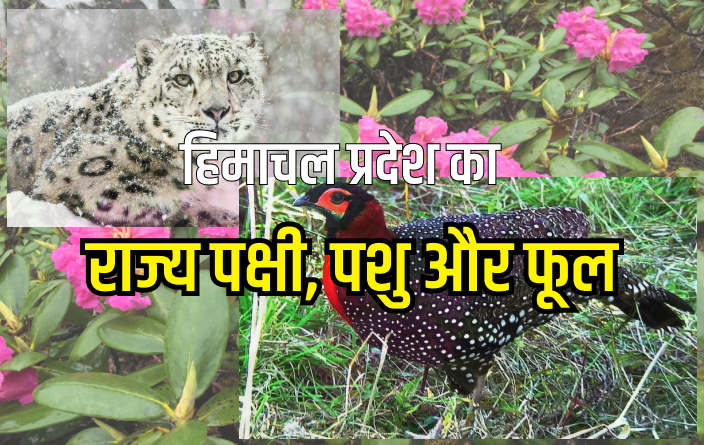 हिमाचल प्रदेश का राज्य पशु, पक्षी और फूल (State Symbols of Himachal Pradesh)  