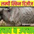 lumpy-skin-disease-hindi-prevention-and-cure-jogindernagar