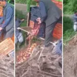 apple-growers-protest