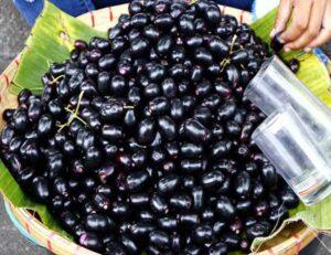 औषधीय गुणों से भरपूर है जामुन का सेवन jamun
