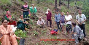 ग्राम विकास सभा भजकैड़ा के सदस्यों ने किया पौधारोपण plantation