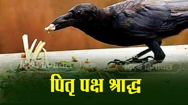 Pitru Paksha Shraddha