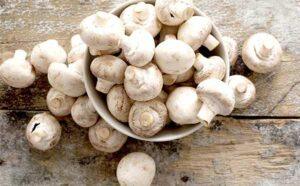 कैंसर जैसी घातक बीमारियों से बचाएगा औषधीय मशरूम mashroom