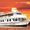 Cruise