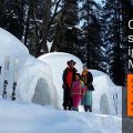 manali-igloo-stay