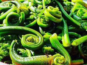 lingdu-vegetable