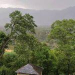 unseasonal-rain-himachal-farmers