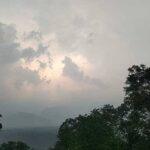 बेमौसमी बारिश से जोगिन्दरनगर क्षेत्र के किसान व बागवान परेशान unseasonal-rain-jogindernagar-farmers