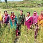 organic-farming-benefits