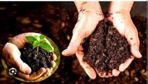 organic-farming-health-benefits
