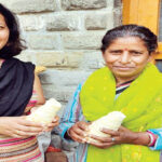 थायरॉइड के इलाज में रामबाण हैं बांस की कोंपलें bamboo-shoots