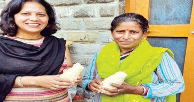 Bamboo Shoots For Thyroid