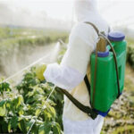 2024_8image_16_49_308704023pesticides-ll