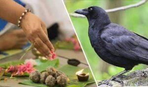 17 सितम्बर से शुरू हो रहे हैं पितृ पक्ष श्राद्ध pitru-paksha