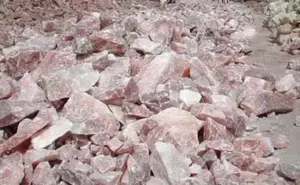 gumma-salt-himachal