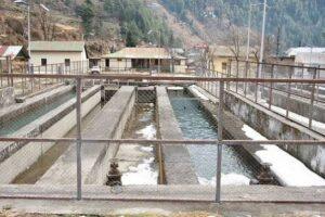 barot-trout-farming