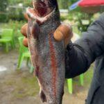 barot-trout-fish-farming