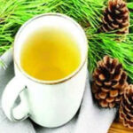 विदेशों में महकी धर्मशाला की पाइंसवुड स्मॉक टी pines-tea