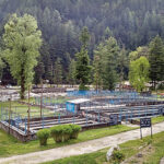 बरोट में ट्राउट फार्मिंग को बढ़ावा मिलने से खुले रोजगार के दरवाजे trout-farming-at-barot