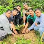 बनाई हार युवक मंडल ने माँ जालपा मंदिर परिसर में किया पौधारोपण plantation